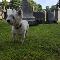 Accrington Cemetery and War Memorial - Accrington
