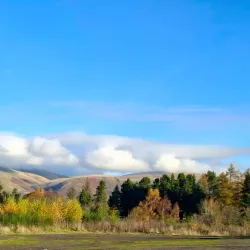 Alloa Golf Club - Alloa