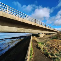 Clackmannanshire Bridge - Alloa