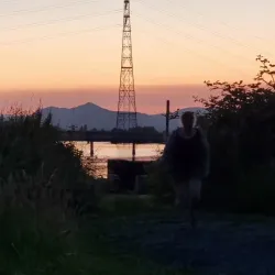 Clackmannanshire Bridge - Alloa