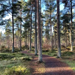 River Forth Walks - Alloa
