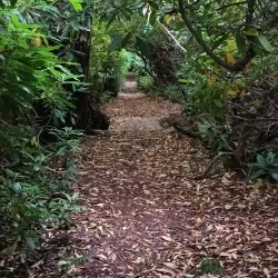 River Forth Walks - Alloa