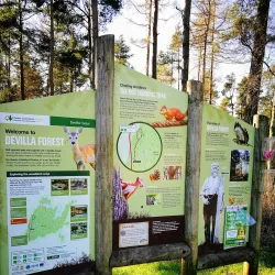 River Forth Walks - Alloa