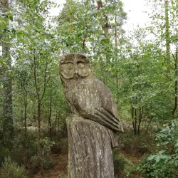 River Forth Walks - Alloa