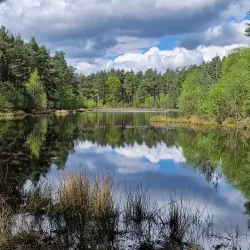 River Forth Walks - Alloa