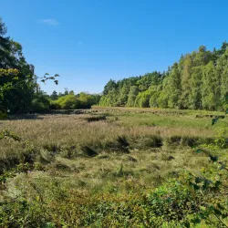 River Forth Walks - Alloa