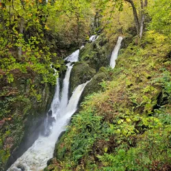 Stock Ghyll Force - Ambleside