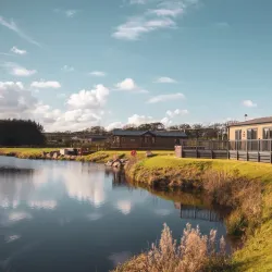 Annan Community Woodland - Annan