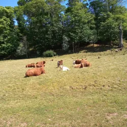 Annan Heritage Trail - Annan