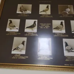 Annan Museum - Annan