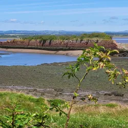 Solway Coast - Annan