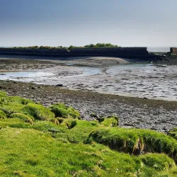 Solway Coast - Annan