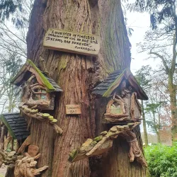 Antrim Castle Gardens - Antrim