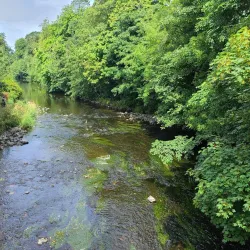 Antrim Castle Gardens - Antrim