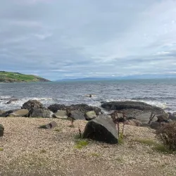 Cushendun Caves - Antrim