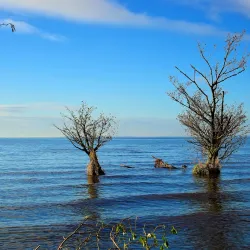 Lough Neagh - Antrim