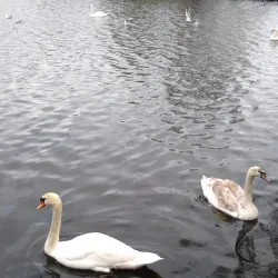 Lough Neagh - Antrim