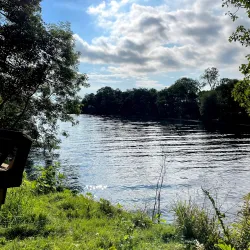 Randalstown Forest - Antrim