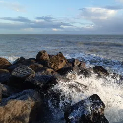 Felpham Beach - Arun (West Sussex)