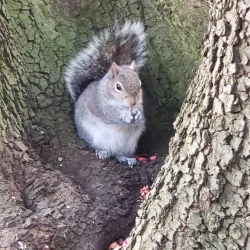 Hotham Park - Arun (West Sussex)