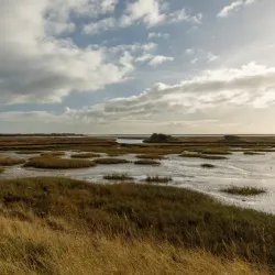 Pagham Harbour Nature Reserve - Arun (West Sussex)