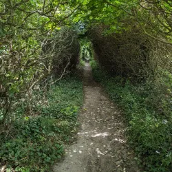 Pagham Harbour Nature Reserve - Arun (West Sussex)