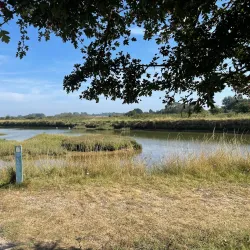 Pagham Harbour Nature Reserve - Arun (West Sussex)