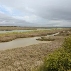 Pagham Harbour Nature Reserve - Arun (West Sussex)