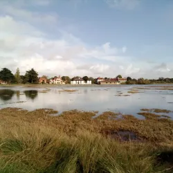 Pagham Harbour Nature Reserve - Arun (West Sussex)