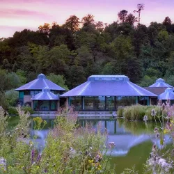 Arundel Wetland Centre - Arundel