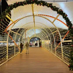 Ashford Designer Outlet - Ashford