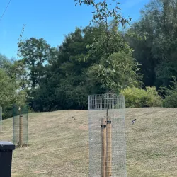 Ashford Green Corridor - Ashford