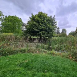 Godinton House and Gardens - Ashford