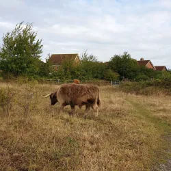Singleton Environment Centre - Ashford