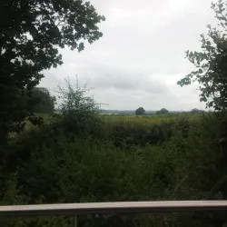 Singleton Environment Centre - Ashford