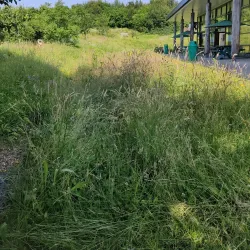 Singleton Environment Centre - Ashford