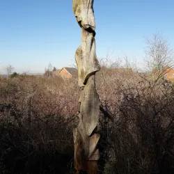 Singleton Environment Centre - Ashford