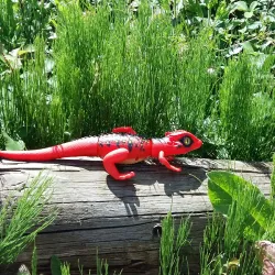 Singleton Environment Centre - Ashford