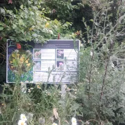 Singleton Environment Centre - Ashford