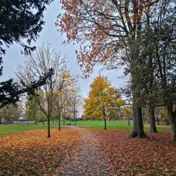 Victoria Park - Ashford