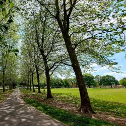 Victoria Park - Ashford