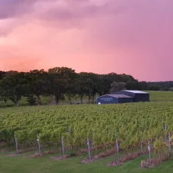 Willow Grange Vineyard - Ashford