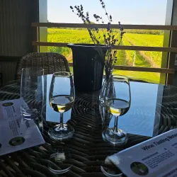 Willow Grange Vineyard - Ashford