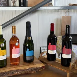 Willow Grange Vineyard - Ashford