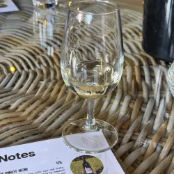 Willow Grange Vineyard - Ashford