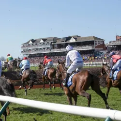 Ayr Racecourse - Ayr