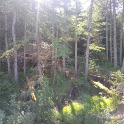Binevenagh Mountain - Ballymoney