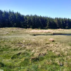 Binevenagh Mountain - Ballymoney