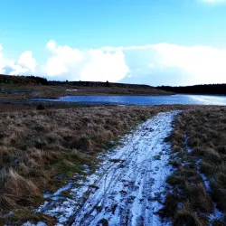 Binevenagh Mountain - Ballymoney