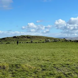 Causeway Coast Way - Ballymoney